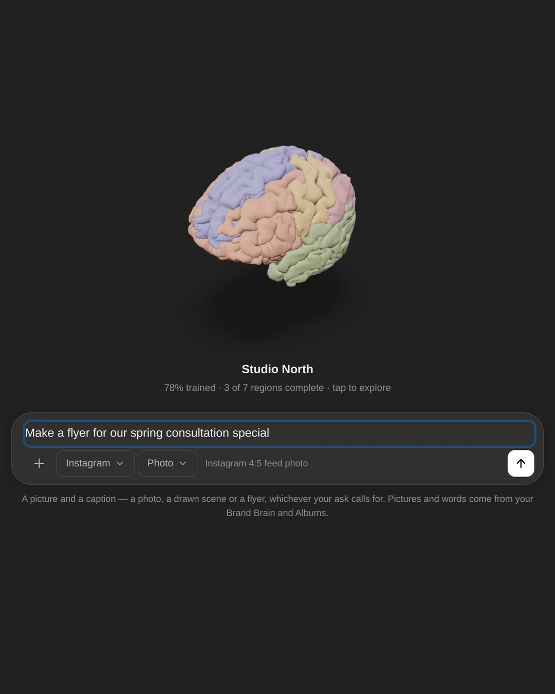 The Palamo home screen: a 3D Brand Brain above the box where you ask for a post